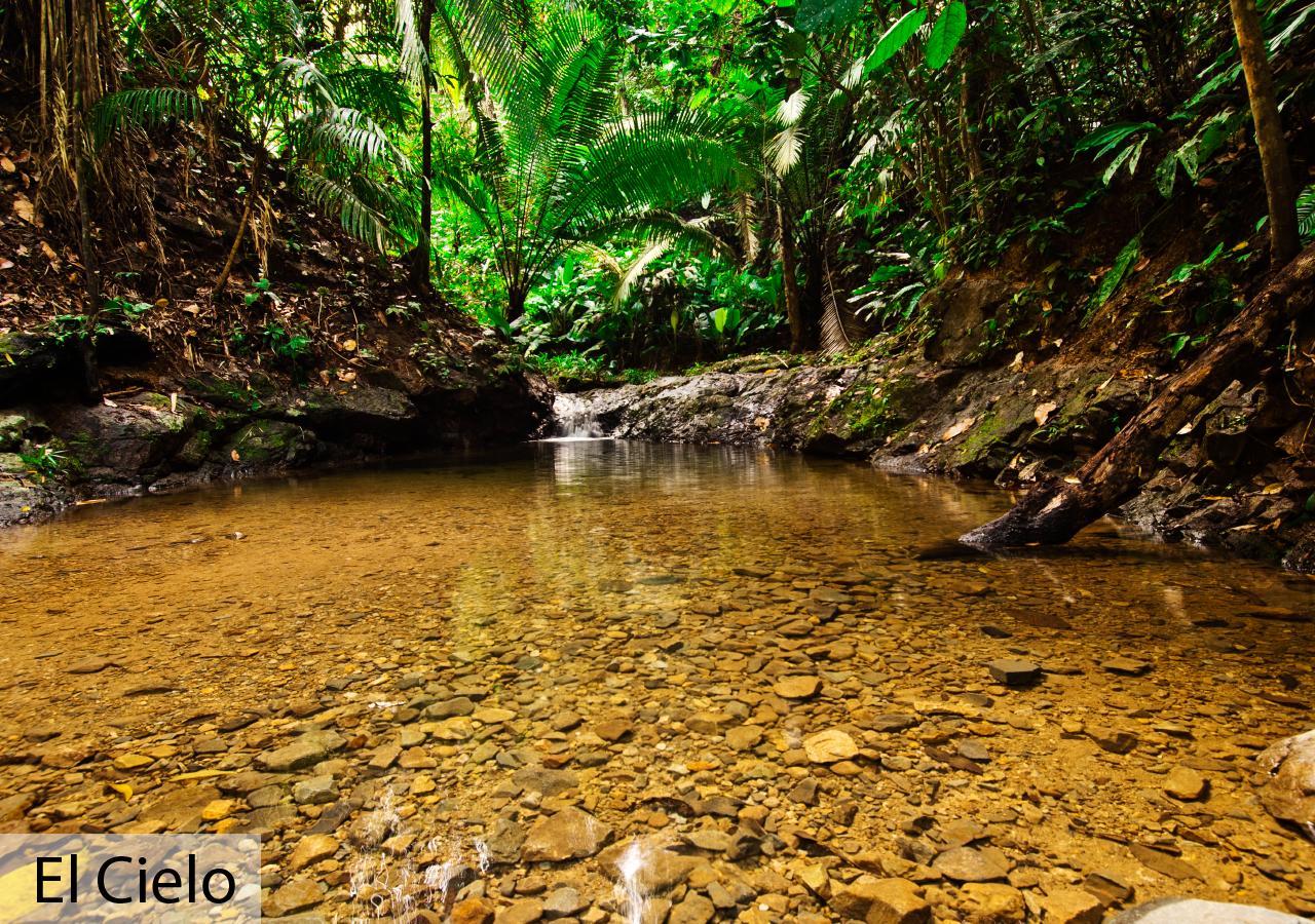 Tacarcuna Lodge Capurgana Bagian luar foto